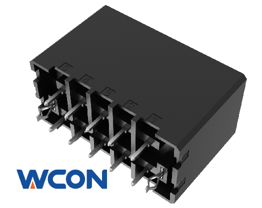 WD5085-2WSXXXXBAXX(W)